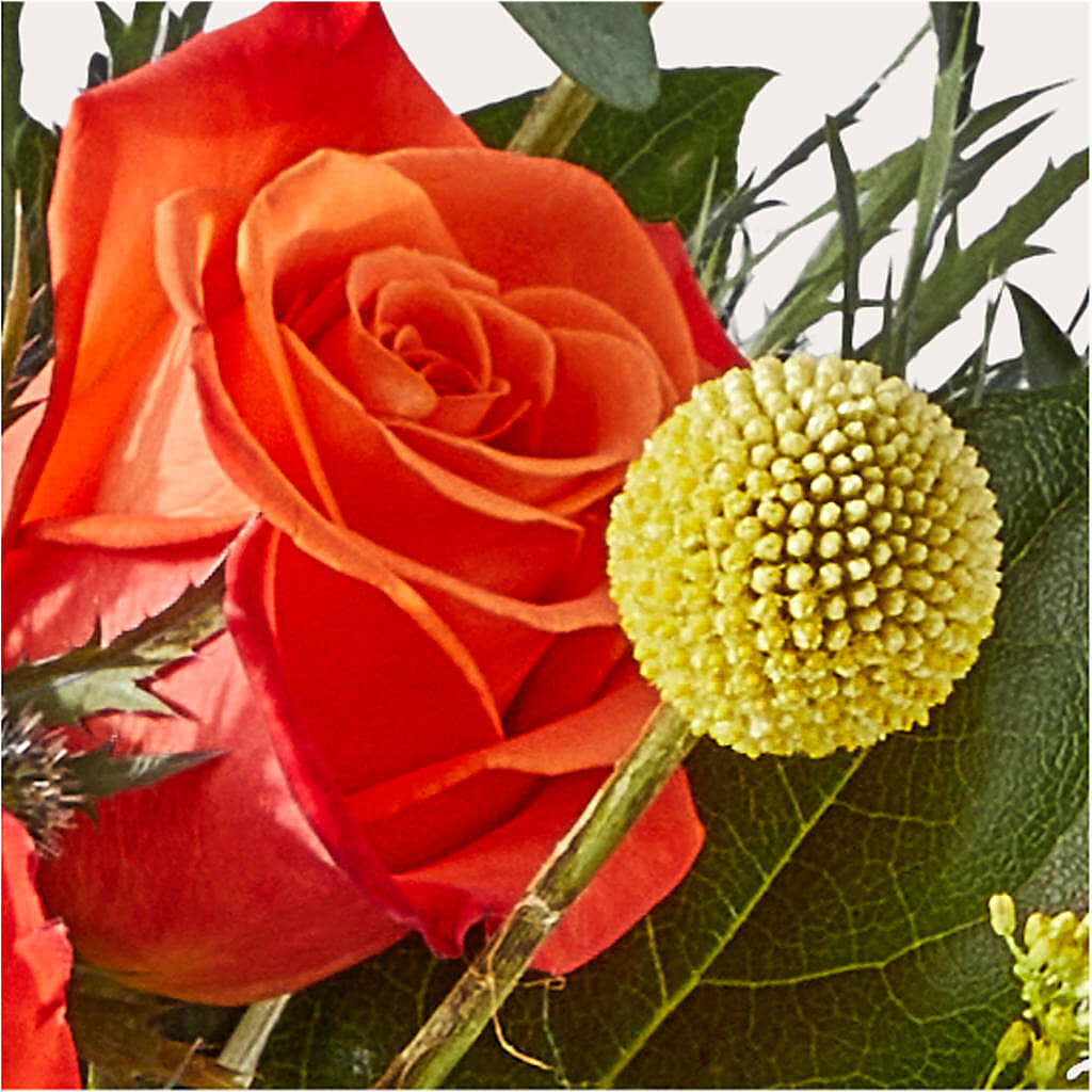Disco Bouquet – TAMMIE'S COUNTRY FLORIST, Hurlock MD