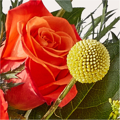 Disco Bouquet – TAMMIE'S COUNTRY FLORIST, Hurlock MD