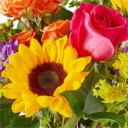 Vibrant Greetings Bouquet – TAMMIE'S COUNTRY FLORIST, Hurlock MD