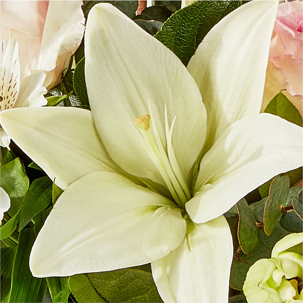 Ballet Slippers Bouquet – TAMMIE'S COUNTRY FLORIST, Hurlock MD