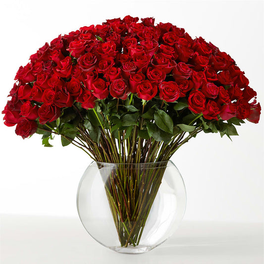 The Idealist – TAMMIE'S COUNTRY FLORIST, Hurlock MD