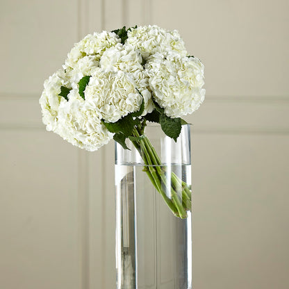 White Hydrangea Hand-Tied Bouquet – TAMMIE'S COUNTRY FLORIST, Hurlock MD