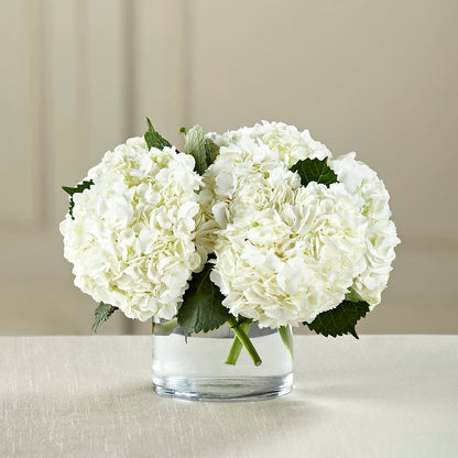 White Hydrangea Bouquet – TAMMIE'S COUNTRY FLORIST, Hurlock MD